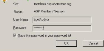SpotAuditor密码恢复工具官方版