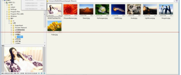 FastStone Image Viewer图像浏览工具官方版