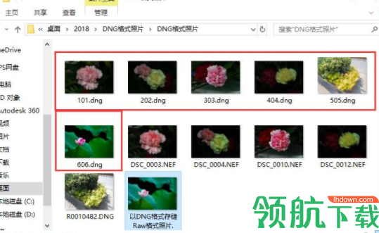 Adobe DNG Converter相机照片转换工具官方版