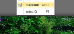 WinSnap(屏幕捕捉)中文绿色版