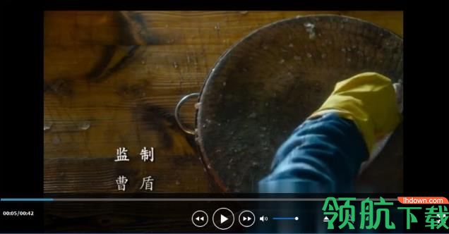 Wise Video Player(简约万能播放器)中文版