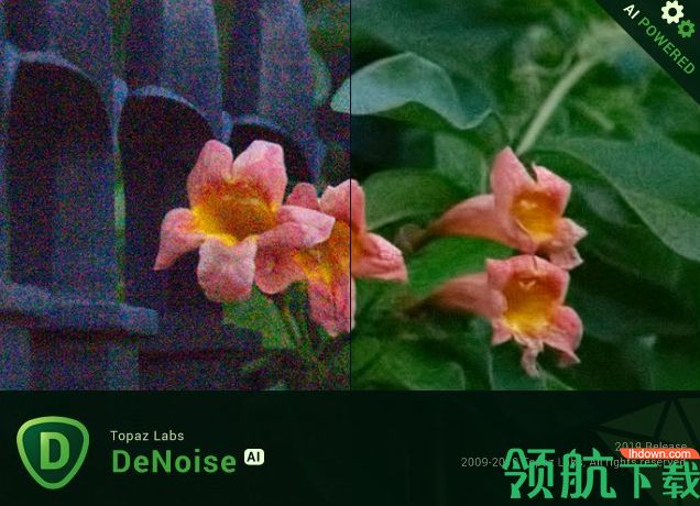 Topaz DeNoise AI破解版