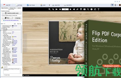 Flip PDF Corporate Edition中文破解版