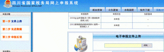 四川省国税网上申报系统客户端官方版