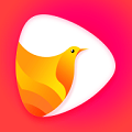 鸽迷短视频app