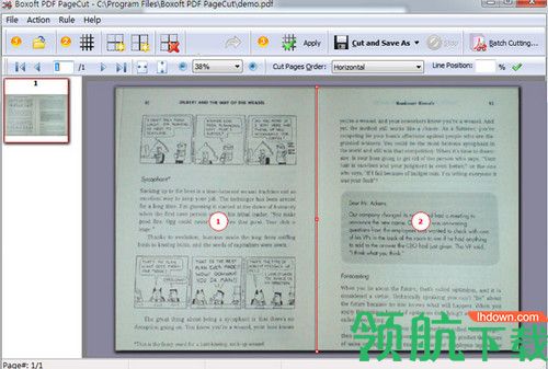 Boxoft PDF PageCut最新版