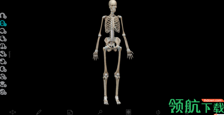 HumanAnatomyAtlas人体解剖模型官方版