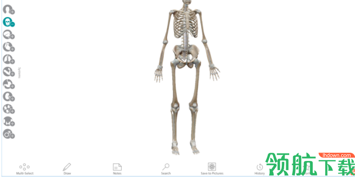 HumanAnatomyAtlas人体解剖模型官方版