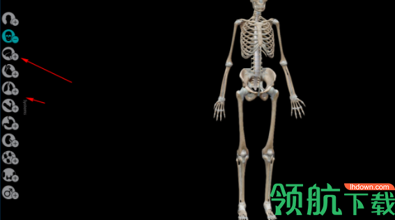 HumanAnatomyAtlas人体解剖模型官方版