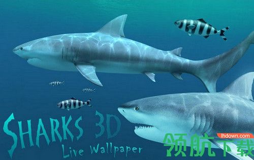 Sharks 3D Mac破解版