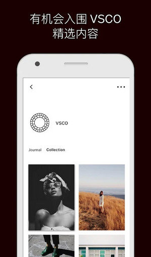 VSCO照片处理器安卓版