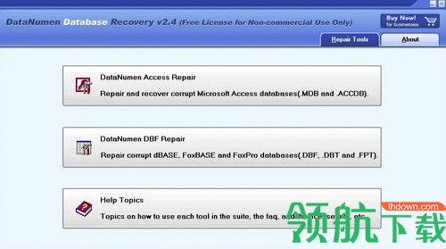 DataNumen Database Recovery破解版