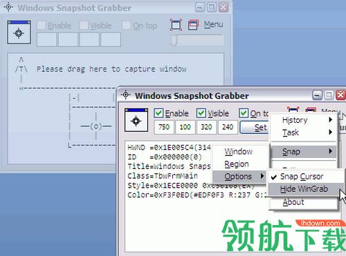 Windows Snapshot Grabber免费版