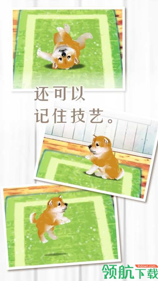 养育柴犬的治愈游戏无内购版