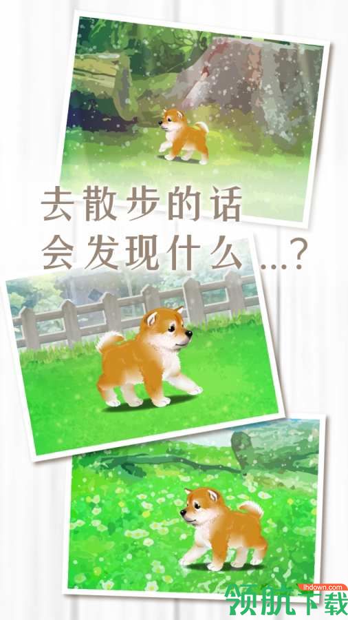 养育柴犬的治愈游戏无内购版