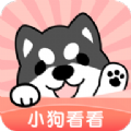 小狗看看App手机版