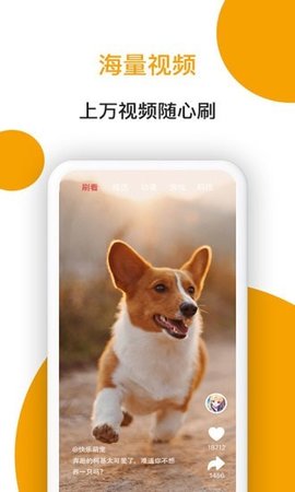 小狗看看App手机版