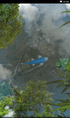 Water Garden 3D壁纸app