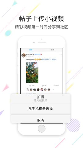 杨梅渡论坛app手机版