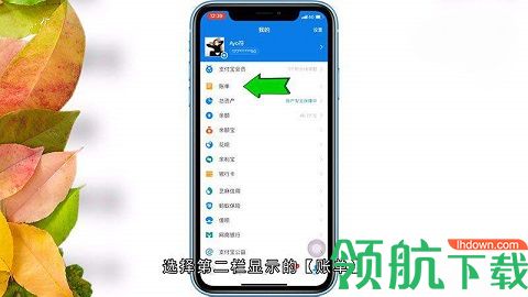 支付宝年度报告怎么查询 支付宝年度报告查询方法说明