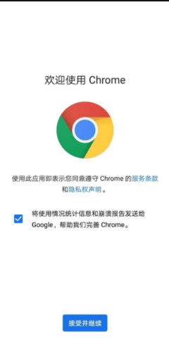 chrome浏览器中文版