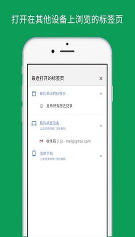 谷歌浏览器开发版app