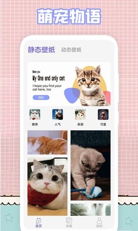 我的猫咪壁纸app高清版