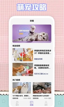 我的猫咪壁纸app高清版