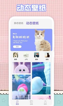 我的猫咪壁纸app高清版