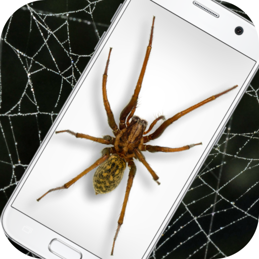 蜘蛛屏幕模拟app手机版