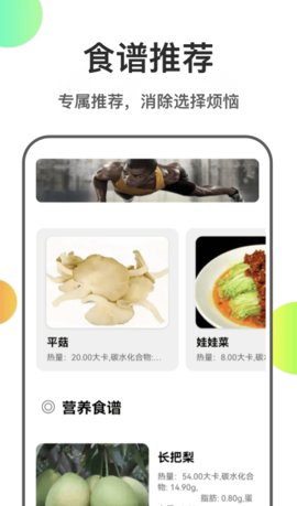 瘦身计划菜谱App手机版