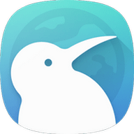 Kiwi浏览器国际版