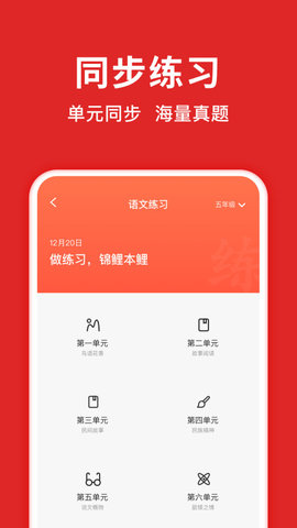 题拍拍APP拍照搜题官方手机版