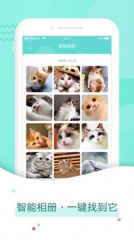 猫语翻译器官方版