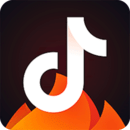 抖音火山版app手机官方版