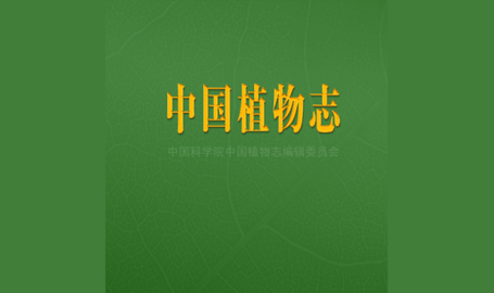 中国植物志电子版