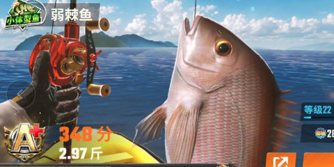 欢乐钓鱼大师鱼类图鉴大全 所有稀有鱼图鉴最新