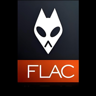 FLAC音乐播放器安卓版