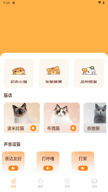 Peppycat宠物翻译器最新版