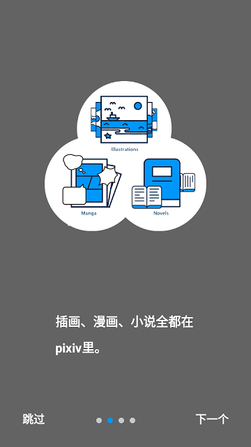 PiPixiv汉化版