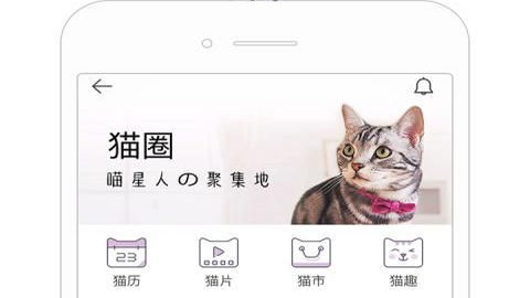 一日猫app安卓最新版
