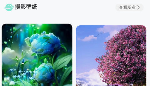 蝴蝶壁纸手机版