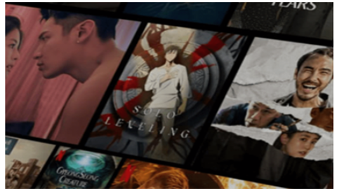 网飞猫追剧app正版