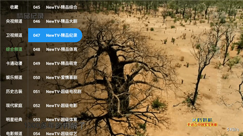 肥羊直播TV电视版