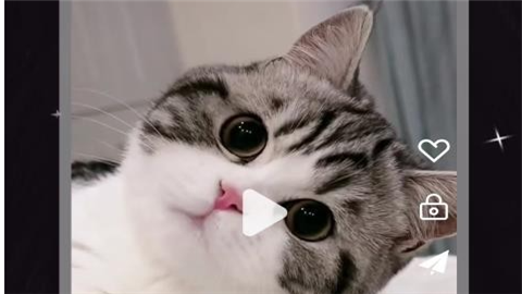 春漾播放器app手机版