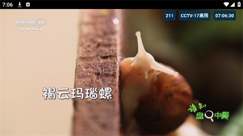 猫TV影视最新版