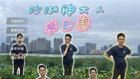 沙湖神大人求包养游戏