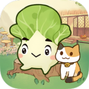 治愈小院赚钱游戏