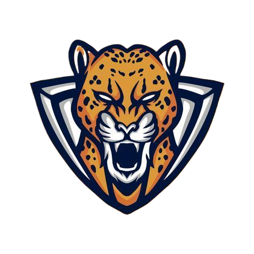 野豹直装手机安装包