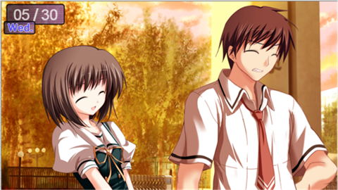 鸑鷟镜花水月中文版